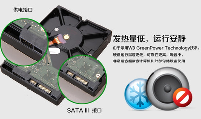 廣州白云區(qū)翔騰信息咨詢(xún)服務(wù)部提供的西部數(shù)據(jù)WD30EZRX 3TB綠盤(pán)報(bào)價(jià)與獨(dú)家寫(xiě)真